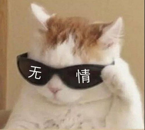 得得得得得得郎朗魔性钢琴教学现场,笑到停不下来