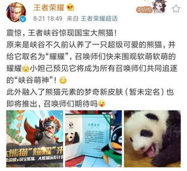  王者荣耀官方公布3周年限定皮肤,梦奇熊猫皮肤了解一下