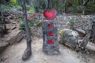  3天两夜玩转山西云丘山,赏仙境景色,品道家韵味,玩高空体验,住特色窑洞
