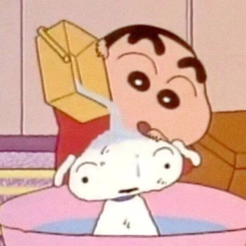蜡笔小新的狗头像图片熬