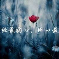  杰德缺点问题评论