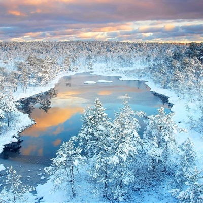  唯美雪景头像,美丽的冬季风光雪景太陶醉了