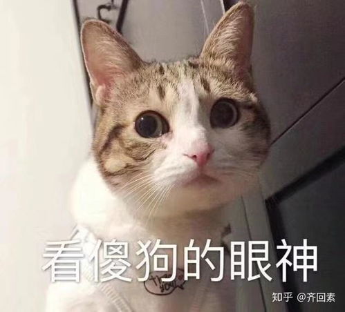  两个都是初恋的人在一起结果会怎样