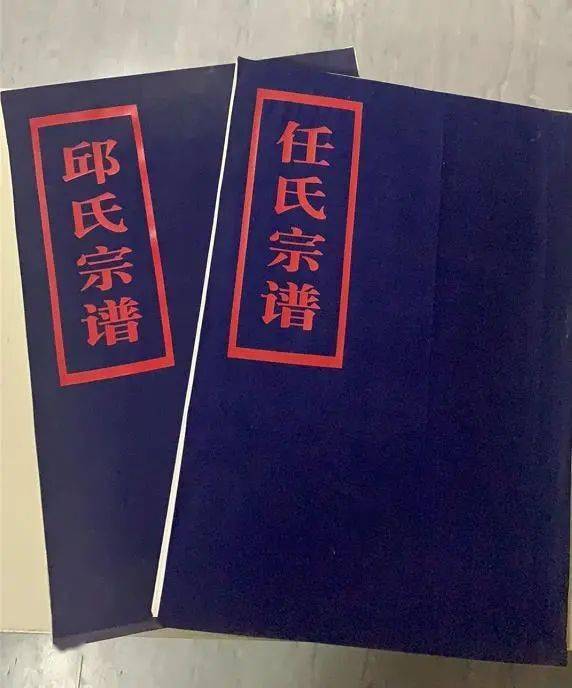  这本书带你了解瑞安33个姓氏的前世