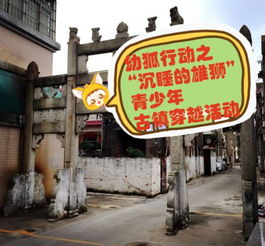  青少年活动招募1月7日幼狐行动之沙溪镇沉睡的雄狮青少年活动