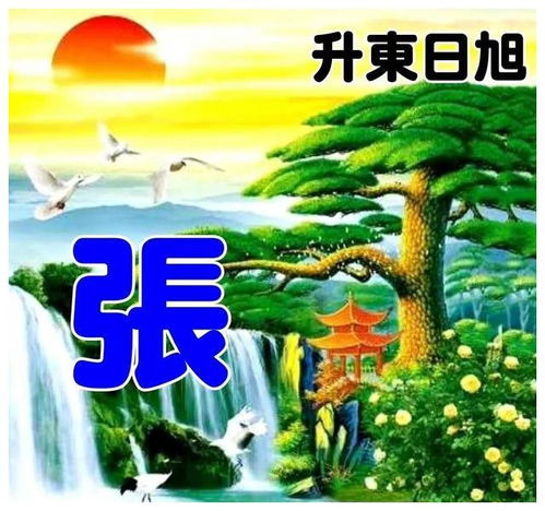 近期发表的姓氏微信头像手机壁纸等精选美图赏析第二二九期