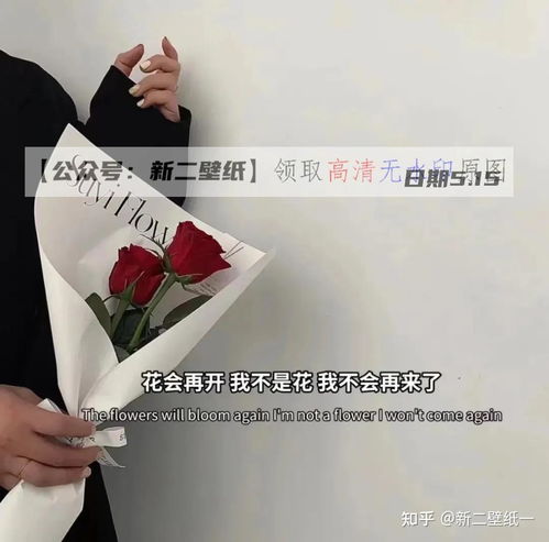  花会再开我不是花我不会再来了图片抖音热门朋友圈文案背景微信
