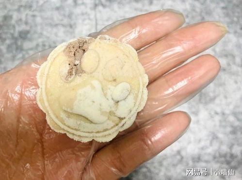  成年猫不爱喝猫咪羊奶粉怎么办猫羊奶粉妙用分享