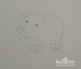  简笔画动物中国生肖猪
