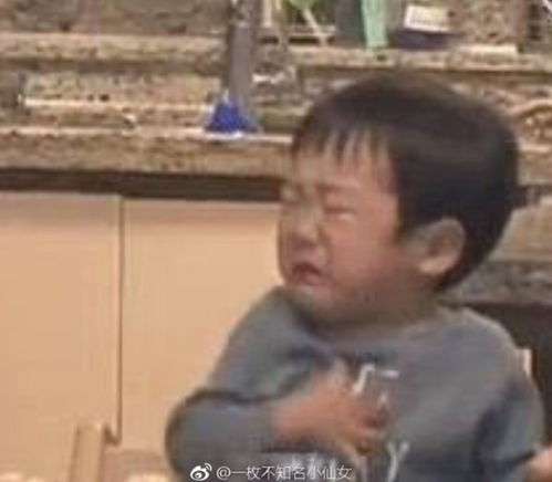  西湖边晨跑遇到周润发真有可能发哥,来杭州啦