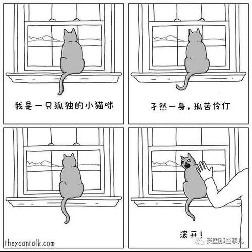  如果动物们会说话果然个个都是蠢萌沙雕蛇精病