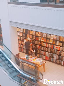 全智贤图片微信头像逛书