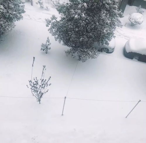  2018年德安最后一场雪,景美人更美附雪景视频