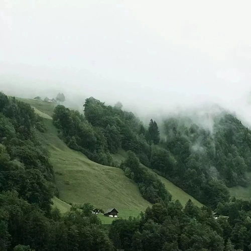  背景图丨我想悄悄的和你说我爱你