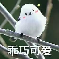  热带雨林气候