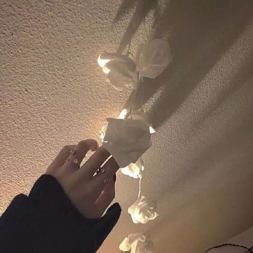 干净简约头像图片简洁