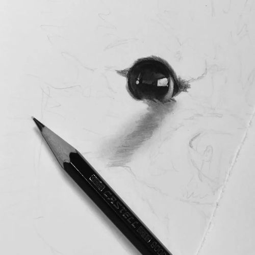  专业画狗的艺术家有多强看到她的作品,汗毛都竖起来了