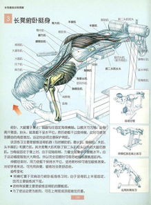 夏天就是要露背做好这些你也是背影杀手