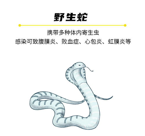  广东省野生动物保护管理条例5月1日实施