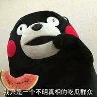  熊本熊头像卡通笔画微信头像图片大全