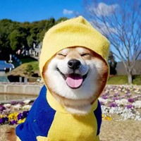  很魔性的头像超级魔性的头像