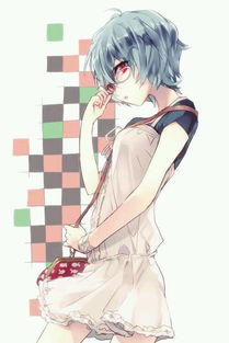  eva绫波丽便服