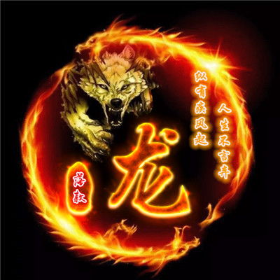  火龙与龙的姓氏头像龙与狼霸气的组合图片
