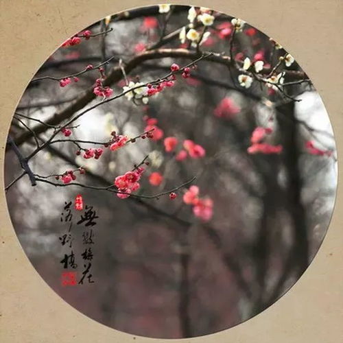  一切看淡,一切随缘