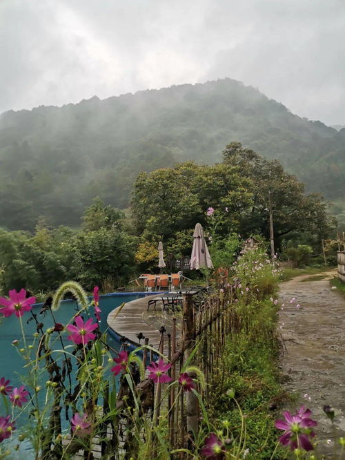  江西名宿丨三清山首家原居民宿,黑瓦白墙,给你心的休憩