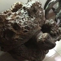  根雕乌龟头像图精品根雕乌龟头像图片