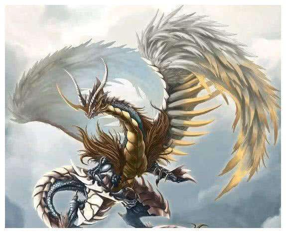  斗罗大陆稀有武魂罕见,半神武魂常见,而顶级武魂竟遍地都有