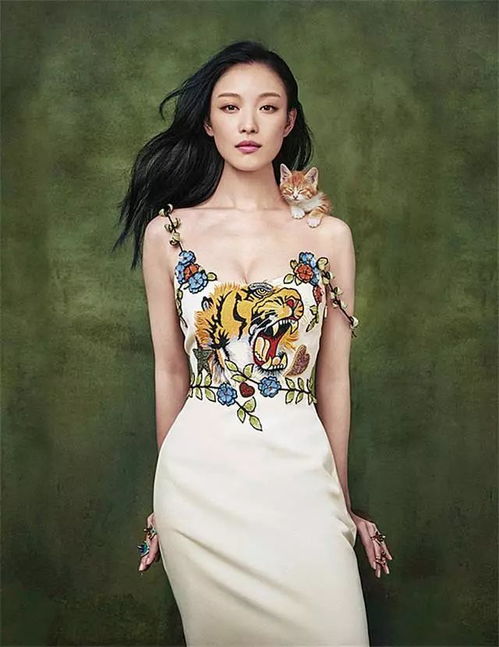  倪妮,一个行走的衣架子