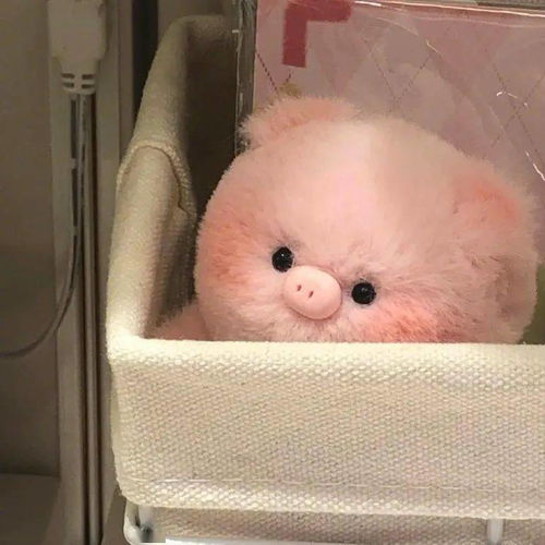 可爱猪猪头像合集电影资