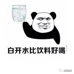  朋友圈转爆的套路句子,句句精辟
