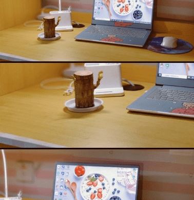  投票有幸寓你寝室风采大赛半决赛
