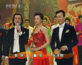  06春晚现场图主持人李咏董卿和张泽群