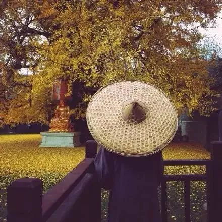 一禅小和尚头像微信可爱古观音禅寺