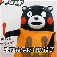  熊本熊带文字的原创表情包你的女朋友为什么生气第二种可能