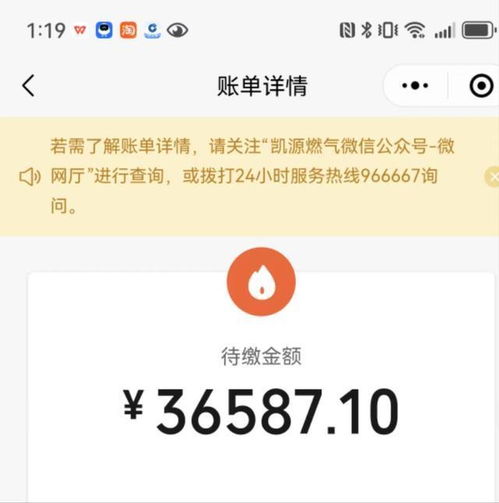  新燃气表跑得快企业违规收费违反政府定价重庆成立联合调查组