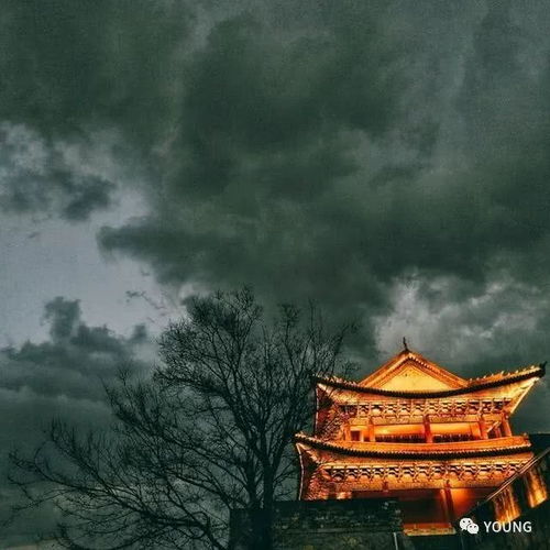  向西旅居去大理