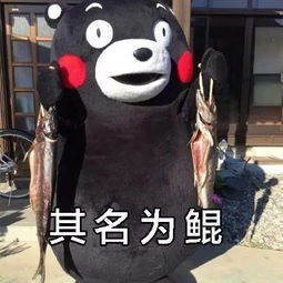  人人都想去的张家界玻璃栈道出事了坠石突然滚落,砸中女子