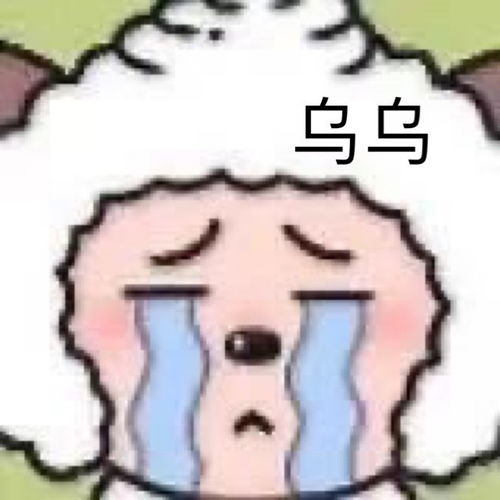  适合单身喵发的520沙雕文案