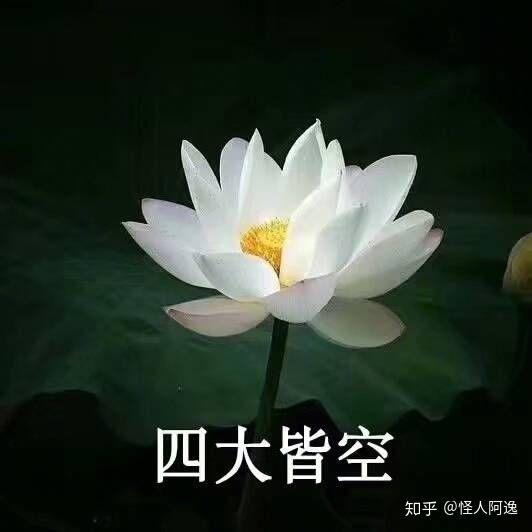  有哪些比较适合父母用的头像