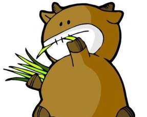  金牛座真爱你的表现