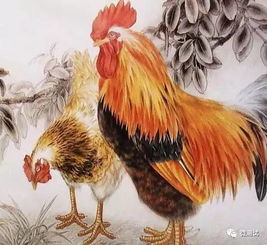  十二生肖中,今年开始运气转好,财运大开的三大生肖