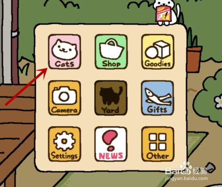  猫咪后院怎么换头像