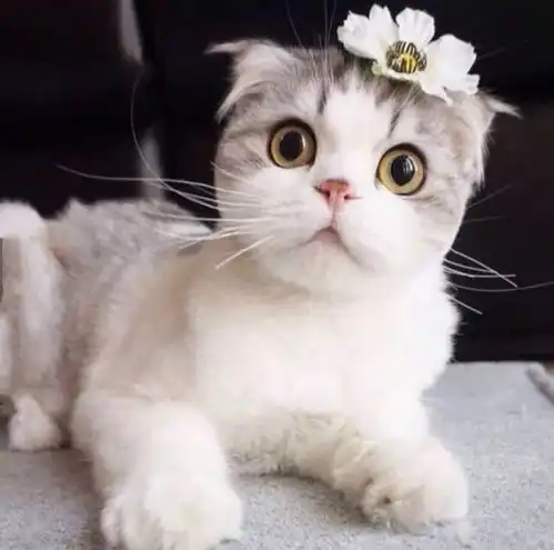  头像通讯录里的人越来越多出来喝酒的越来越少