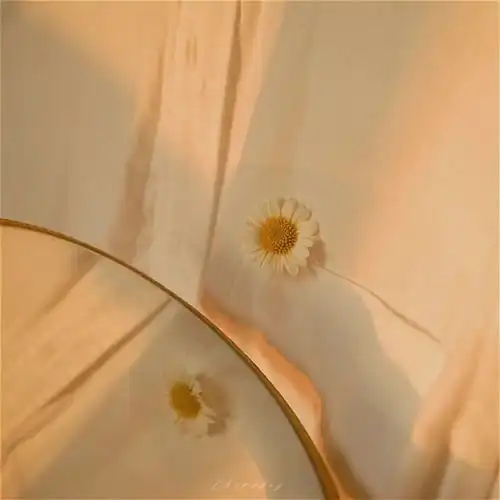  所得所不得皆不如心安理得温柔治愈系ins背景图