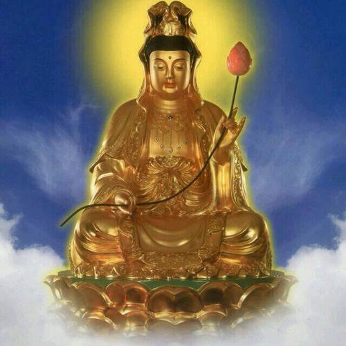  2020年,新的一年,感恩佛祖,事事顺利,芝麻开花节节高