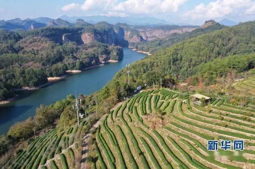 绿都三明画好山水画走好振兴路 绿都三明画好山水画走好振兴路